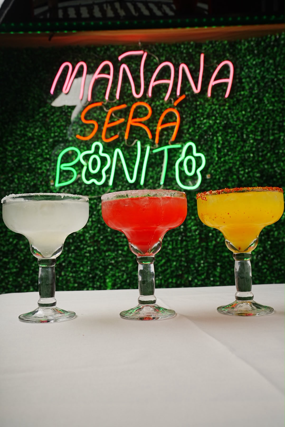 Three colorful margaritas